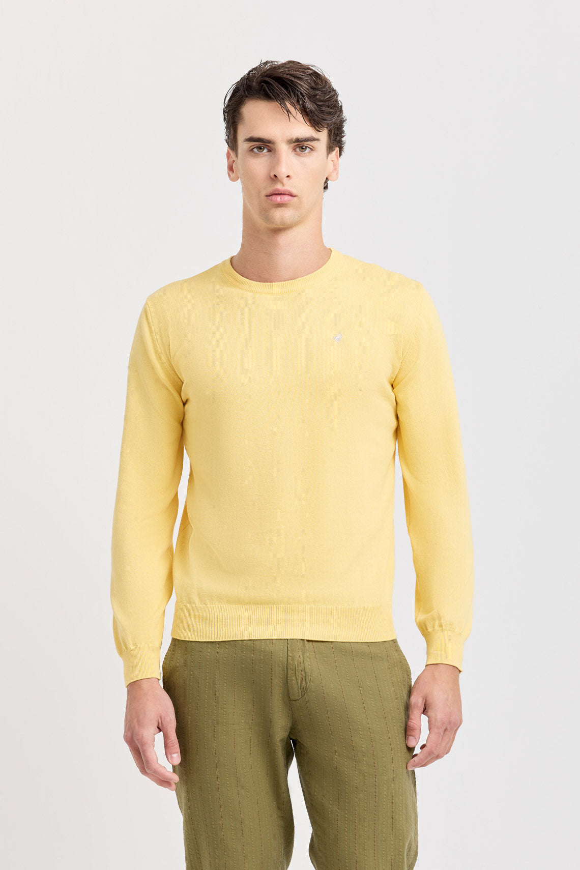 MAGLIA GIROCOLLO IN COTONE