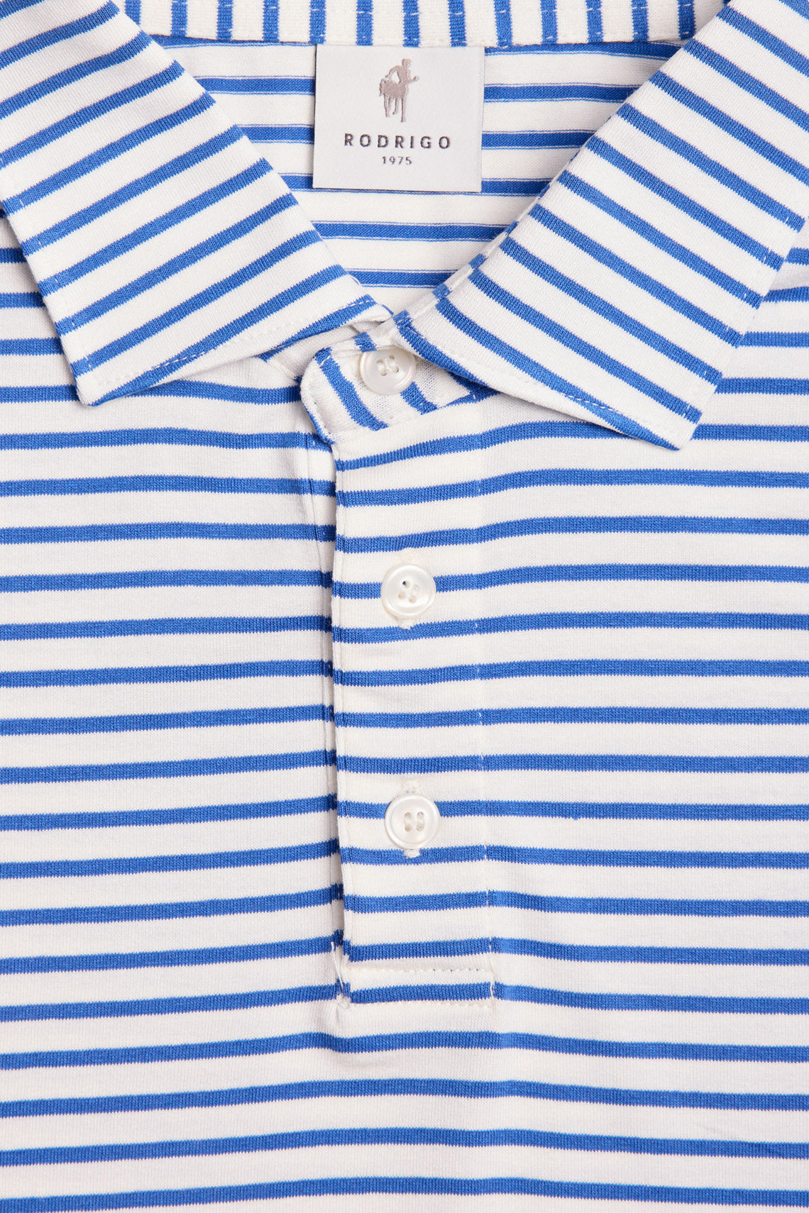 POLO RIGATA COLLO CAMICIA