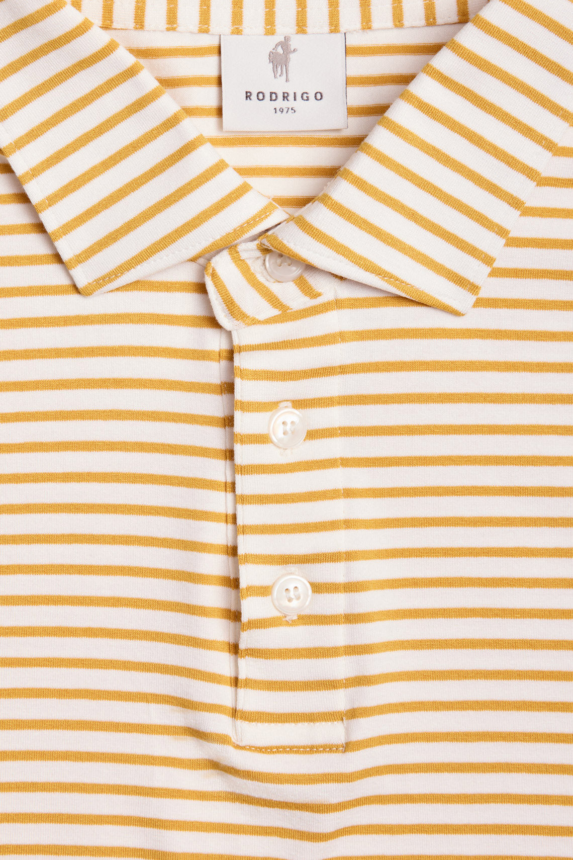 POLO RIGATA COLLO CAMICIA